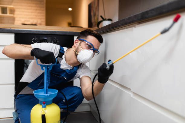 Best Cockroach Control Services  in Conroe, TX