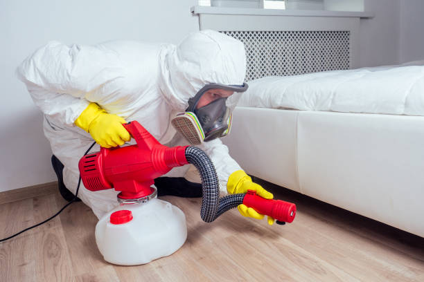 Reliable Conroe, TX Pest Control Solutions