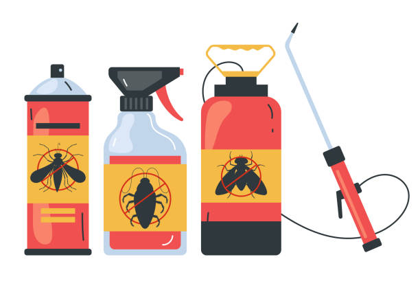 Best Local Pest Control Services  in Conroe, TX