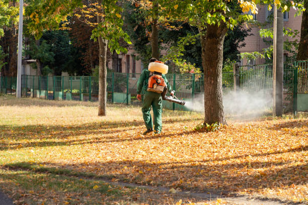 Best Wasp Removal Services  in Conroe, TX